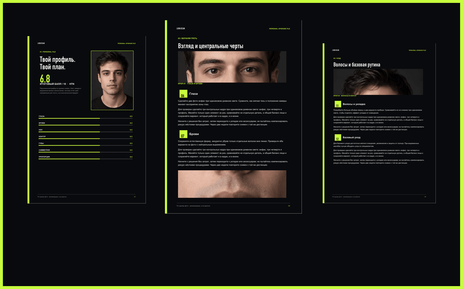 Пример обновлённого многостраничного отчёта LOOKSCAN PRO